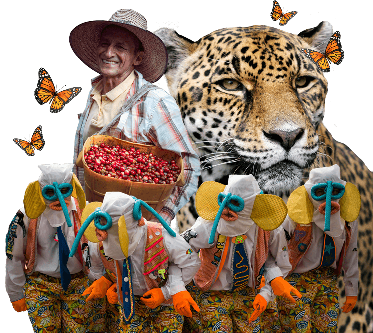 Raíces Colombianas